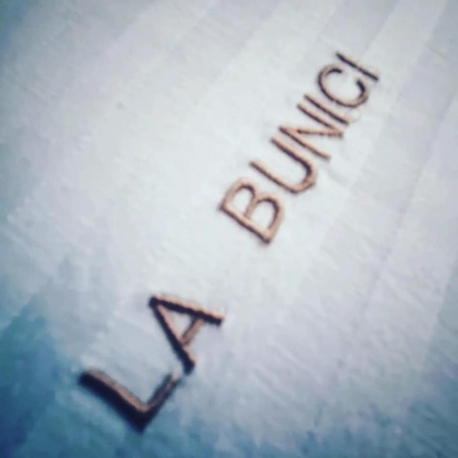 La Bunici Lejlighed Baia Mare Eksteriør billede